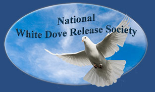 nwdrs logo